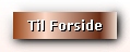 Forside